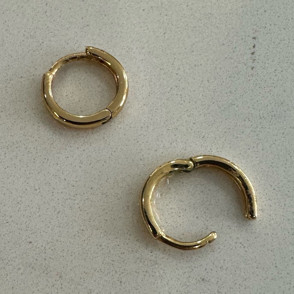Jennet Bird small Elegant Gold Hoop Earrings